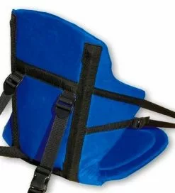 The Famous Big Back Seat